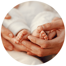 IVF