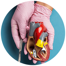 Cardiology