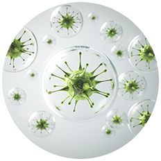 Infectious Diseases
